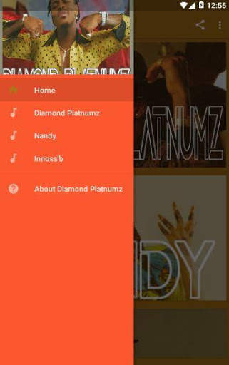 Diamond Platinum offline songs play screenshot 1