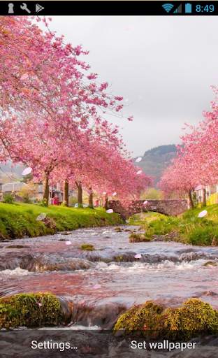 Sakura Live Wallpaper screenshot 1