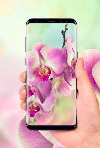Orchids 3D Free Live Wallpaper screenshot 2