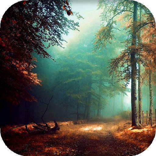 Mystic Night Live Wallpaper : 7fon & LWP 16.0