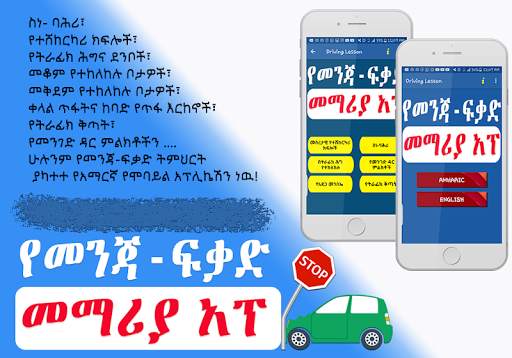Driving Lesson Amharic скриншот 7