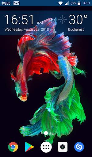 Tropical Fish Live Wallpaper screenshot 5