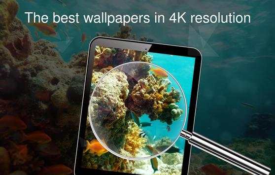 Wallpaper 4K with reefs screenshot 9