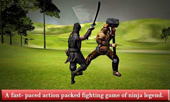 The Last Ninja Assassinator screenshot 3