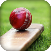 Ball Bat Score icon
