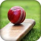 Ball Bat Score 1.2