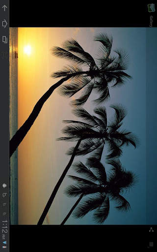 Gallery Wall 3D स्क्रीनशॉट 3