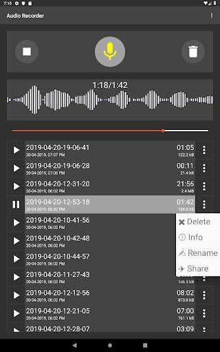 Audio Recorder (No Ads) screenshot 13