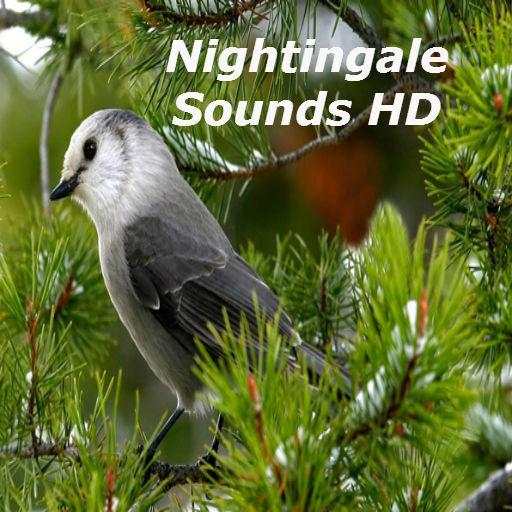 Nightingale Bird Sounds HD 1.0