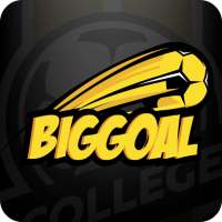 Big Goal icon