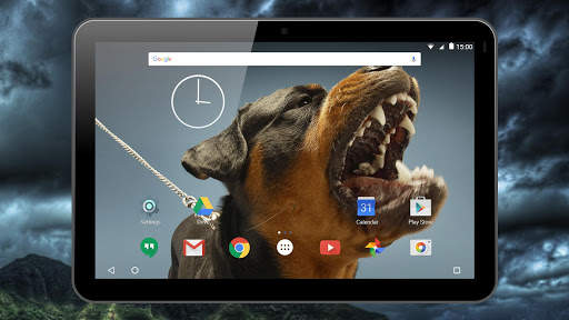 Fighting Dogs Live Wallpaper screenshot 11
