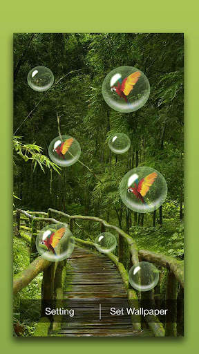 Bamboo Forest Live Wallpaper screenshot 4