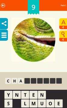 Guess the Pic! screenshot 10