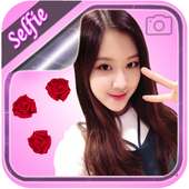 Blackpink Rose Selfie Camera on 9Apps