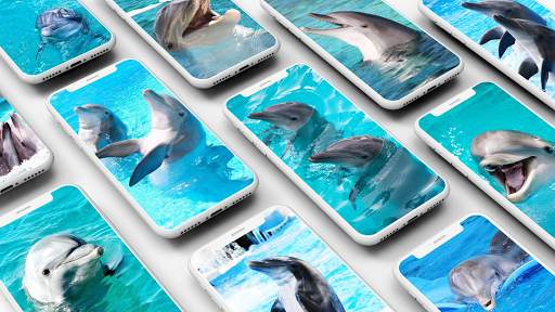 Dolphin Wallpaper screenshot 1
