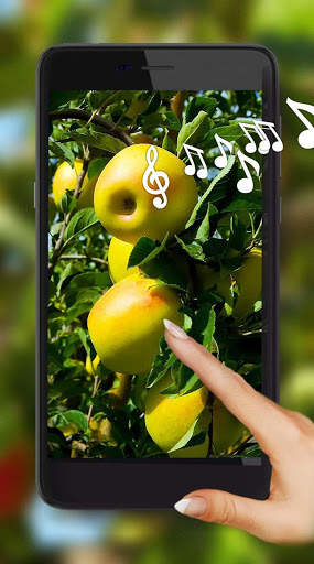Apples Live Wallpaper screenshot 1