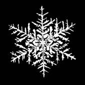 WinterWatch 2.4