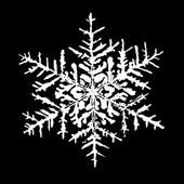 WinterWatch 2.4 7.1.4.0