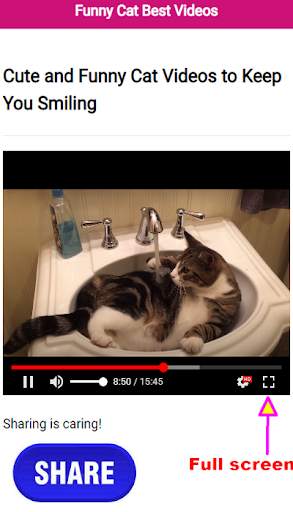 Funny Cat Best Videos स्क्रीनशॉट 2