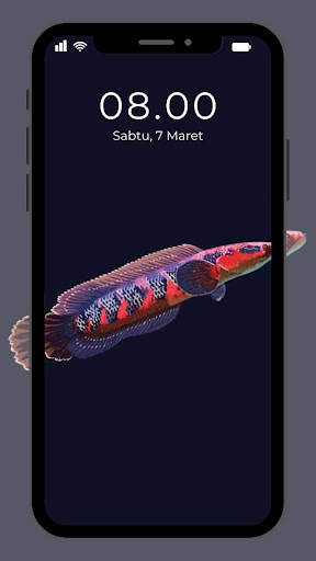 Wallpaper Ikan Channa screenshot 3