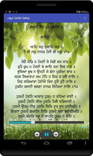 Japji Sahib Path Audio screenshot 14