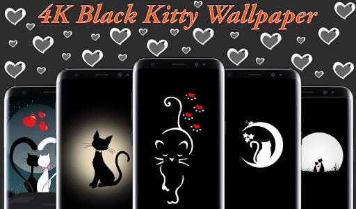 4K Black Kitty Wallpaper screenshot 2