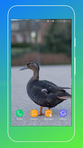 Duck Wallpaper screenshot 14