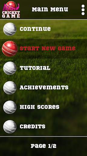 Blind Cricket screenshot 1