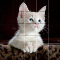 Picture Puzzle Free Game For Android logo