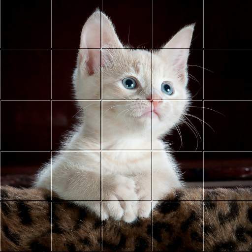 Picture Puzzle Free Game For Android 3.2