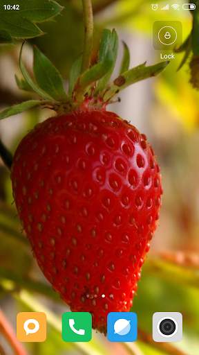 Strawberry Wallpaper HD screenshot 9