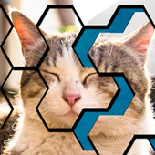 Drive Hexa Jigsaw Brain puzzle™ icon
