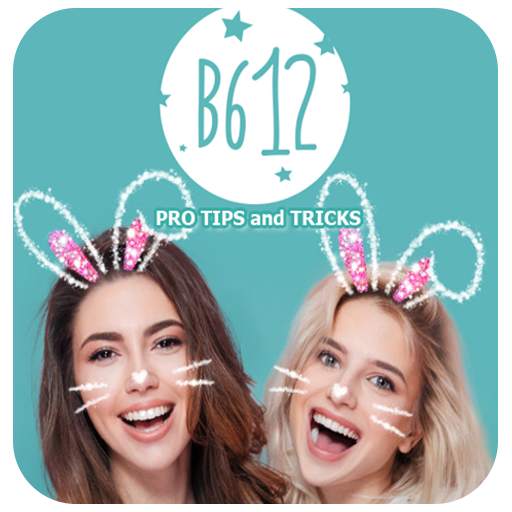 B612 Pro Tips and Tricks 1.0