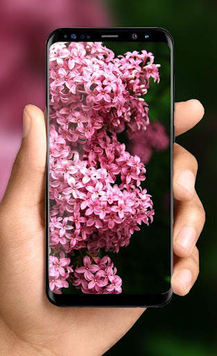 Lilac Live Wallpapers Free - HD Flower Wallpaper screenshot 2