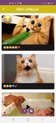 Funny’s video for cats screenshot 3