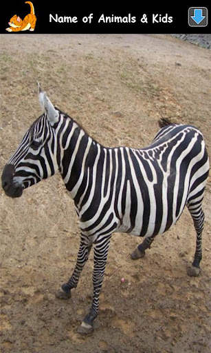 Animal Sounds for Kids Lite screenshot 7