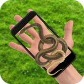 Snake in Hand : Snake on Screen Funny 1.1