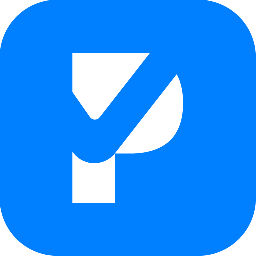 Paynet One icon