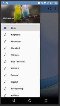 Bird Sounds screenshot 1