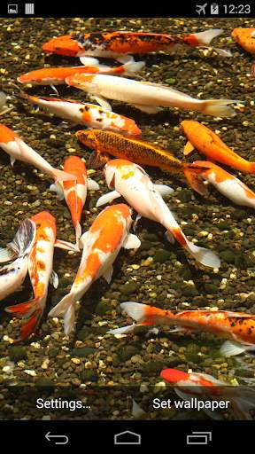 Magic Koi Live Wallpaper screenshot 2