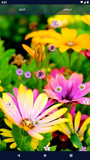 Spring Flowers Live Wallpaper screenshot 4