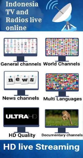 Indonesia Tv and Radios live online screenshot 1