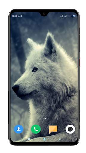 Wolf Wallpaper 4K screenshot 3