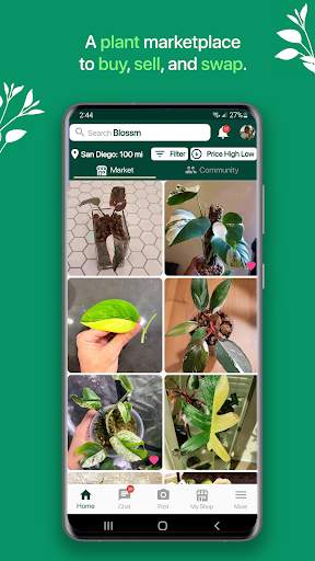 Blossm - Social Plant Market screenshot 1