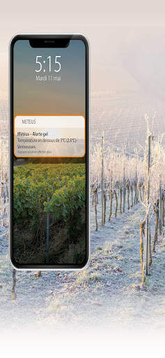 Météus screenshot 1