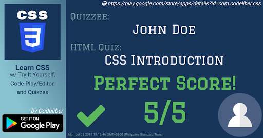 Learn CSS screenshot 17