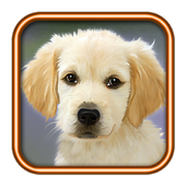Gespräch zu Hund icon