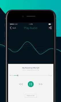 iRecord: Professional Voice Recorder screenshot 3