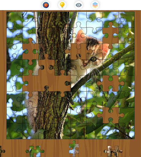 Jigsaw Galaxy: Cats Edition screenshot 16