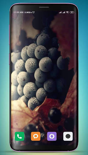 Grapes Wallpaper HD screenshot 5